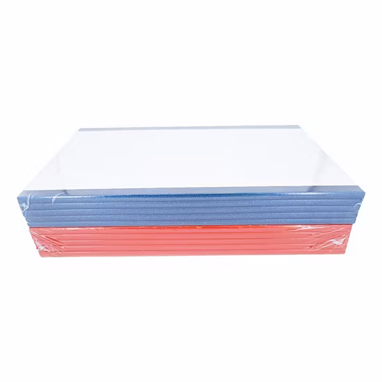 Paper Slide Holder Tissue Microscope Slide Tray Microscope Slide Storage Box
